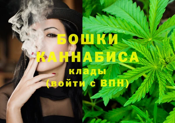 сатива Бородино