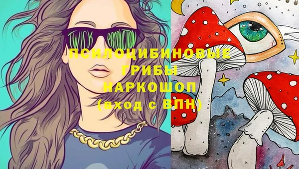 гашик Бугульма