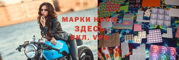 сатива Бородино