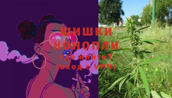 сатива Бородино