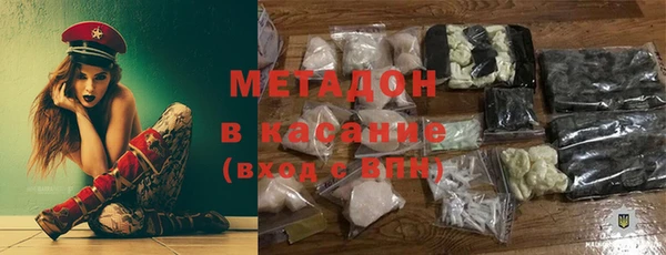 сатива Бородино