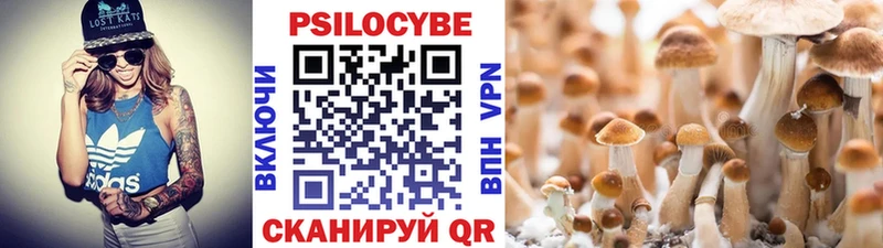 Галлюциногенные грибы GOLDEN TEACHER  где купить наркоту  Ишимбай 